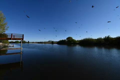 View/Area - 25515 Glenburn Rd, Fall River Mills, CA 96028 photo 9 of 9