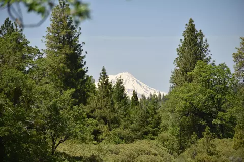 Other - 15132 Anthony Rd, Oak Run, CA 96069 photo 13 of 13