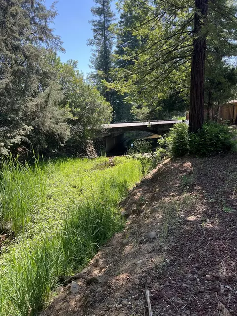 1187 Big Bear Path, Redding, CA 96003 photo 22