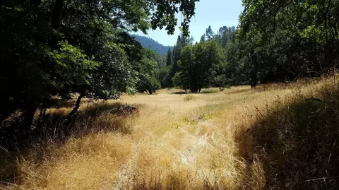 4561 Mule Gulch Rd, Douglas City, CA 96024