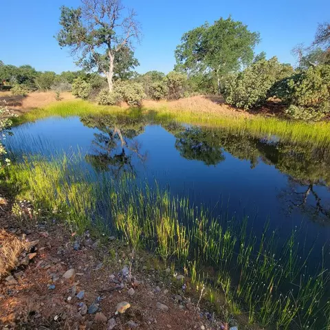 11 79acre Wildridge Rd, Cottonwood, CA 96022