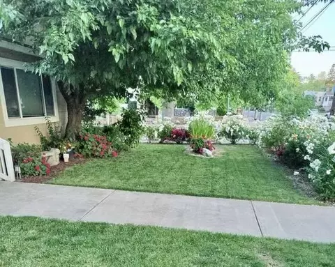1265 Olive Ave, Redding, CA 96001 photo 23