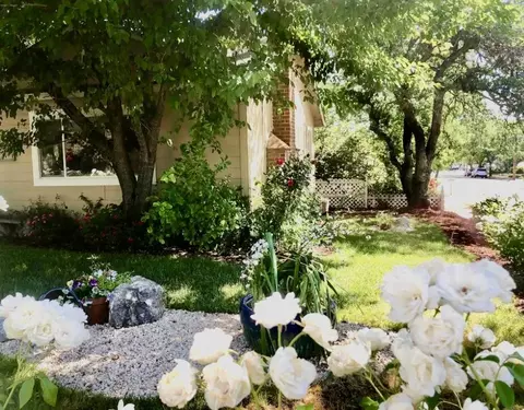 1265 Olive Ave, Redding, CA 96001 photo 28