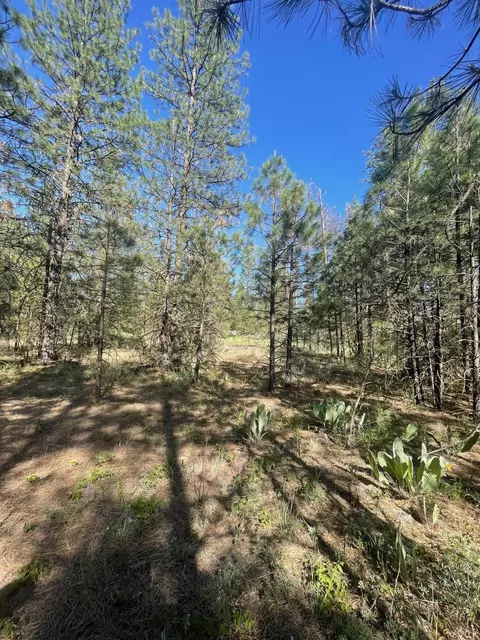 Lee Rd, Mcarthur, CA 96056 photo 8