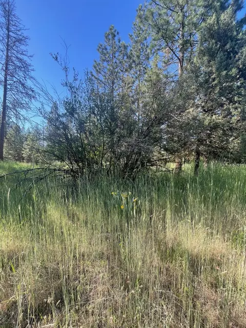 Lee Rd, Mcarthur, CA 96056 photo 11