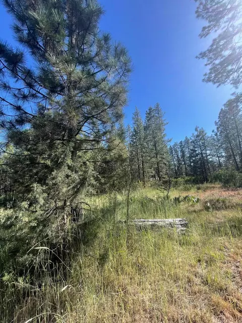Lee Rd, Mcarthur, CA 96056 photo 5