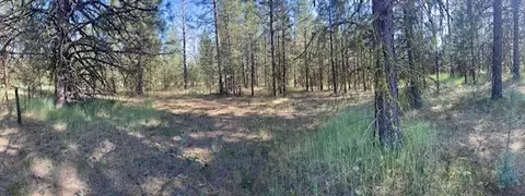 Lee Rd, Mcarthur, CA 96056 photo 13