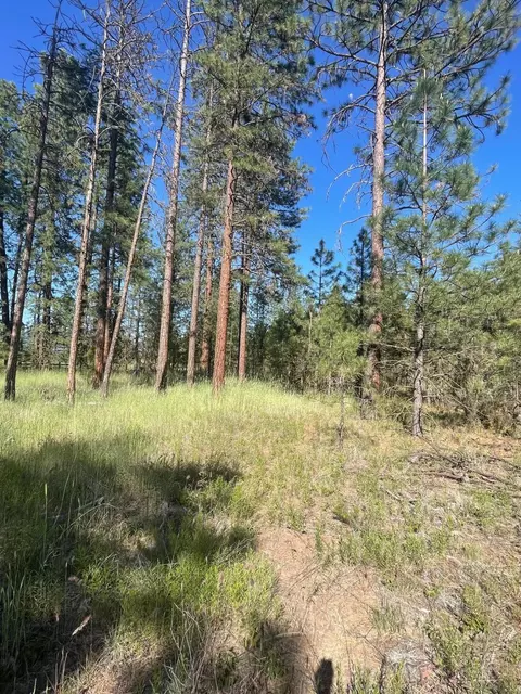 Lee Rd, Mcarthur, CA 96056 photo 3