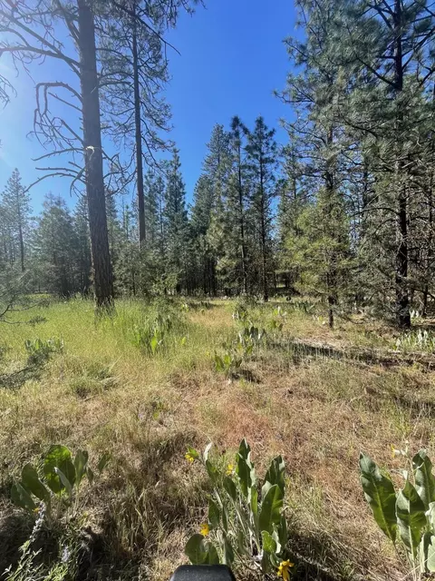 Lee Rd, Mcarthur, CA 96056 photo 7