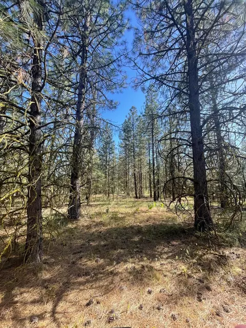 Lee Rd, Mcarthur, CA 96056 photo 12