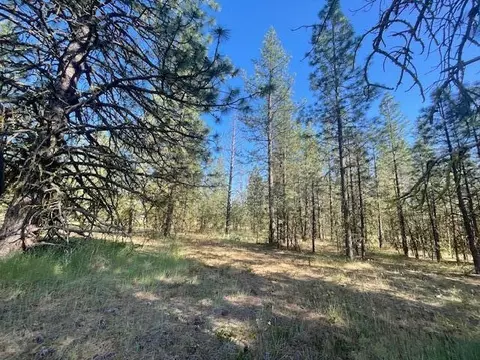 Lee Rd, Mcarthur, CA 96056 photo 2