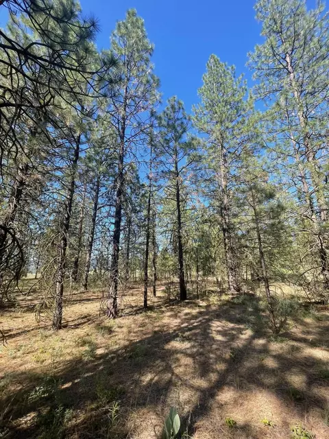 Lee Rd, Mcarthur, CA 96056 photo 9