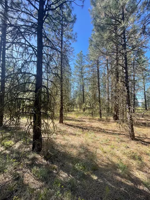 Lee Rd, Mcarthur, CA 96056 photo 10