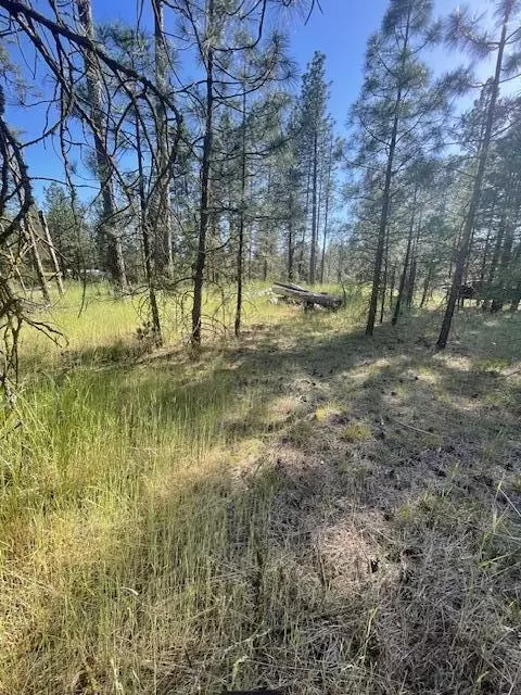 Lee Rd, Mcarthur, CA 96056 photo 15