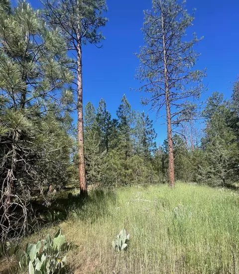Lee Rd, Mcarthur, CA 96056 photo 6