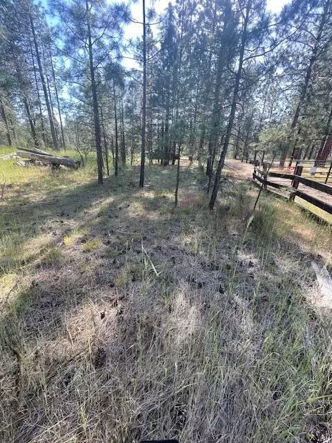 Lee Rd, Mcarthur, CA 96056 photo 14