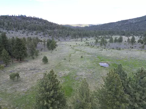 Spring Hill Drive, Termo, CA 96132 photo 13