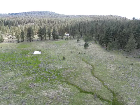 Spring Hill Drive, Termo, CA 96132 photo 6
