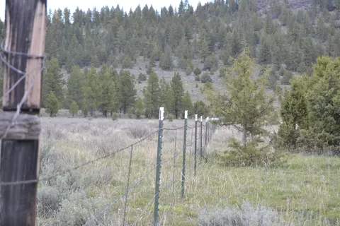 Spring Hill Drive, Termo, CA 96132 photo 10