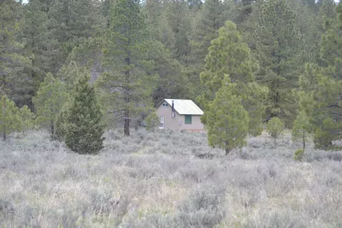 Spring Hill Drive, Termo, CA 96132 photo 17