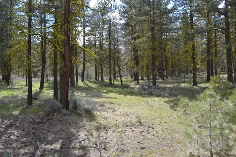 Spring Hill Drive, Termo, CA 96132 photo 16
