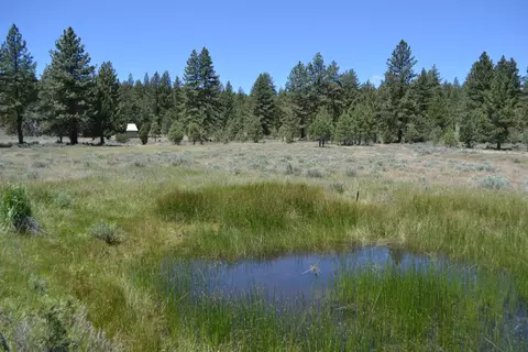 Spring Hill Drive, Termo, CA 96132 photo 35