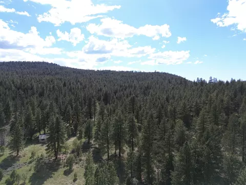 Spring Hill Drive, Termo, CA 96132 photo 18