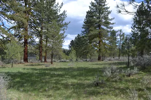 Spring Hill Drive, Termo, CA 96132 photo 7