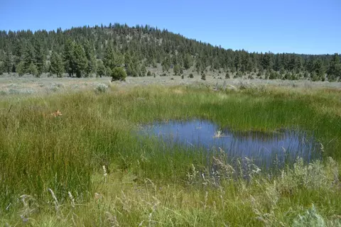 Spring Hill Drive, Termo, CA 96132 photo 36