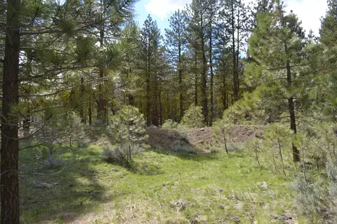 Spring Hill Drive, Termo, CA 96132 photo 15