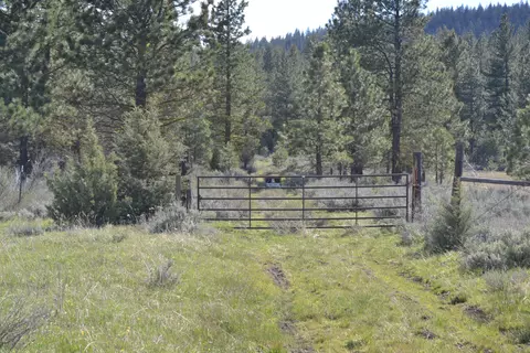 Spring Hill Drive, Termo, CA 96132 photo 11