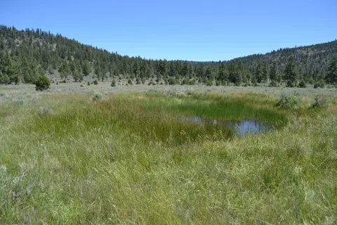 Spring Hill Drive, Termo, CA 96132 photo 34