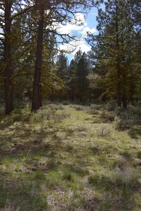Spring Hill Drive, Termo, CA 96132 photo 23