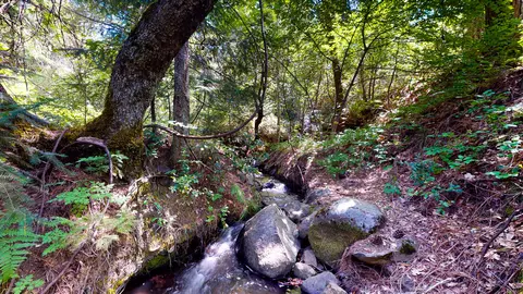 19127 Montgomery V Dr, Montgomery Creek, CA 96065