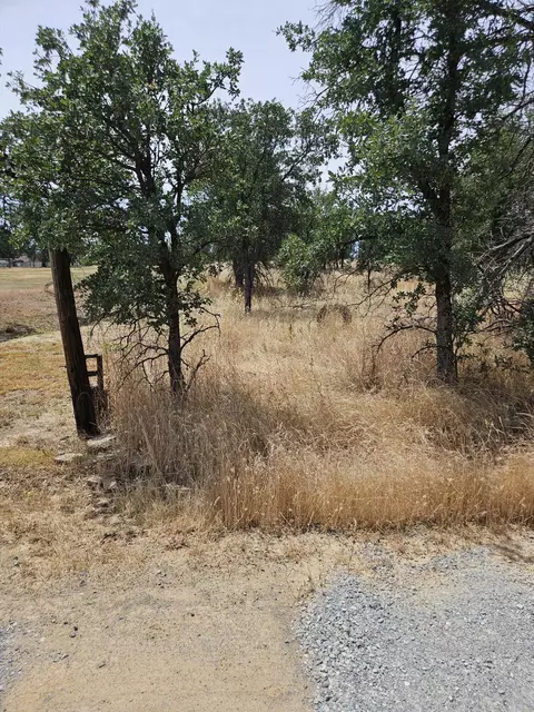 10033 Abernathy Ln, Redding, CA 96003 photo 6