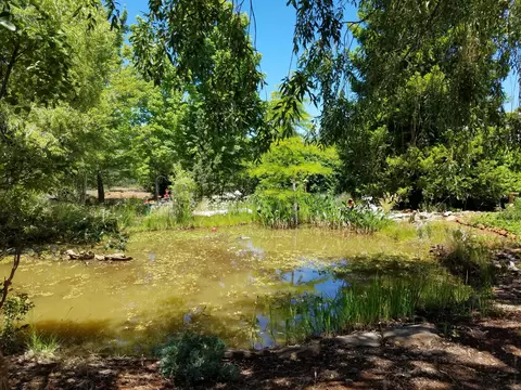 Other - 7150 Pine Bluff Dr, Shingletown, CA 96088 photo 16 of 18