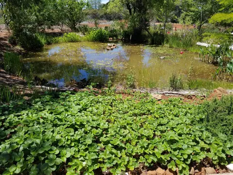 Other - 7150 Pine Bluff Dr, Shingletown, CA 96088 photo 5 of 18