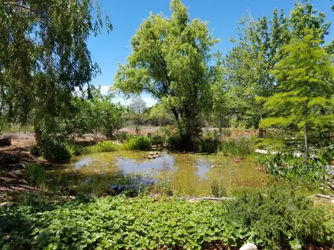 Other - 7150 Pine Bluff Dr, Shingletown, CA 96088 photo 4 of 18