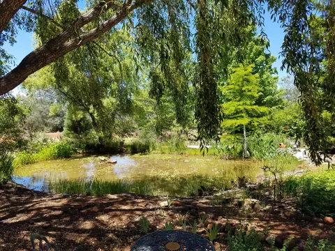 Other - 7150 Pine Bluff Dr, Shingletown, CA 96088 photo 3 of 18