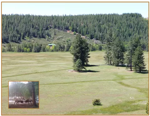 2125 Lava Ln, Mccloud, CA 96057