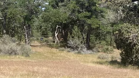 Lot 11 Little Valley Rd, Little Valley, CA 96056