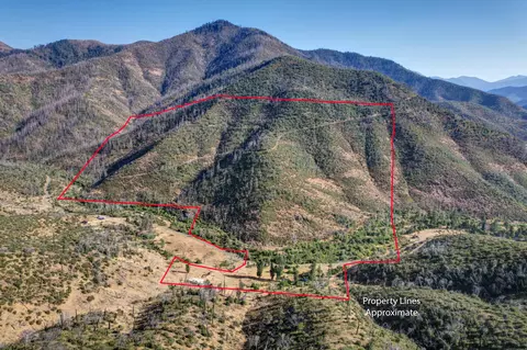 12338 E Fork Rd, French Gulch, CA 96033 photo 10