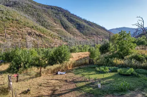 12338 E Fork Rd, French Gulch, CA 96033 photo 8