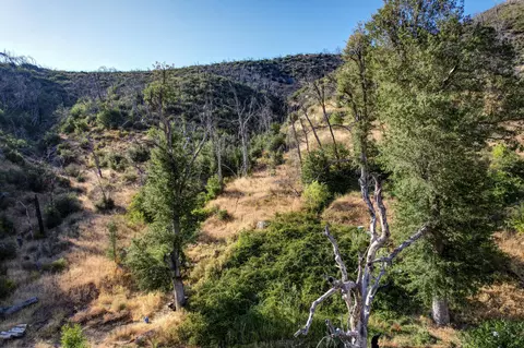 12338 E Fork Rd, French Gulch, CA 96033 photo 13