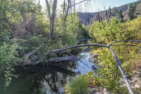 12338 E Fork Rd, French Gulch, CA 96033 photo 5