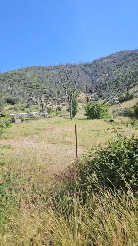 12338 E Fork Rd, French Gulch, CA 96033 photo 18