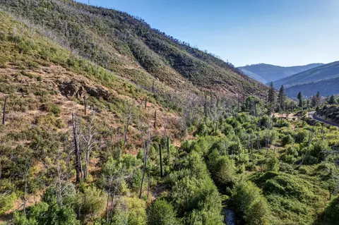 12338 E Fork Rd, French Gulch, CA 96033 photo 9