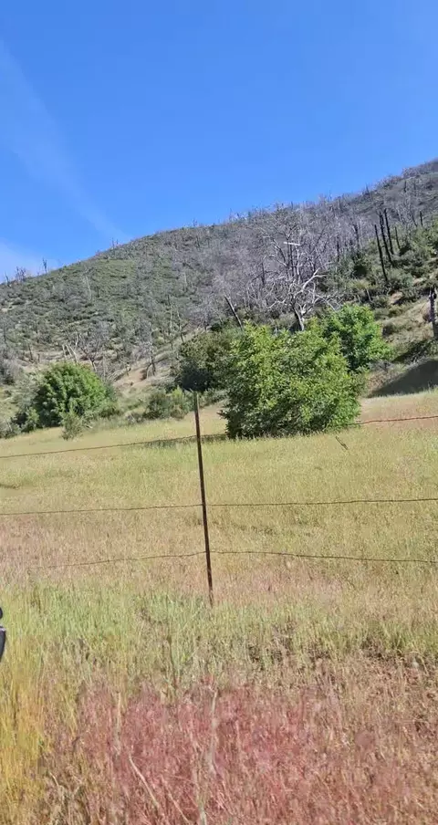 12338 E Fork Rd, French Gulch, CA 96033 photo 19