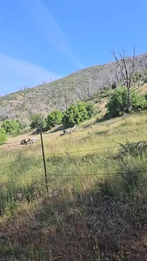 12338 E Fork Rd, French Gulch, CA 96033 photo 20