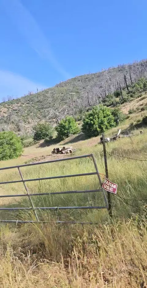 12338 E Fork Rd, French Gulch, CA 96033 photo 16